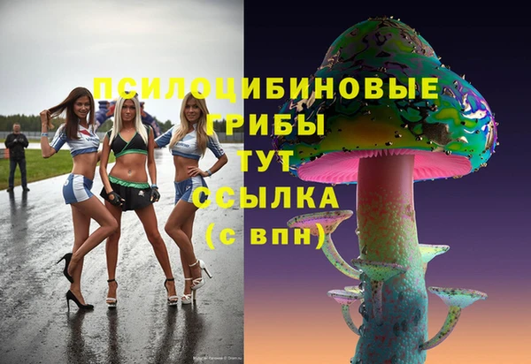 соль ск Беломорск