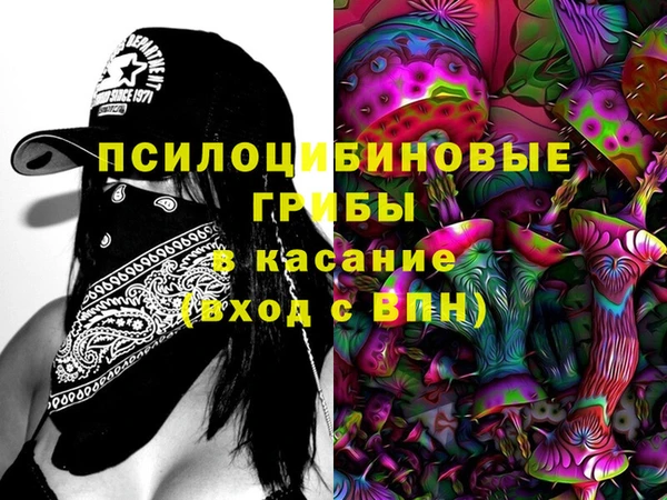 хмурый Снежногорск