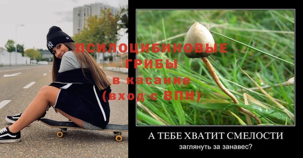 кокс Богородицк