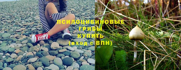 соль ск Беломорск